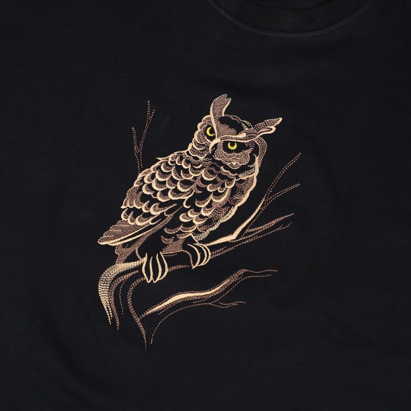 Majestic Owl