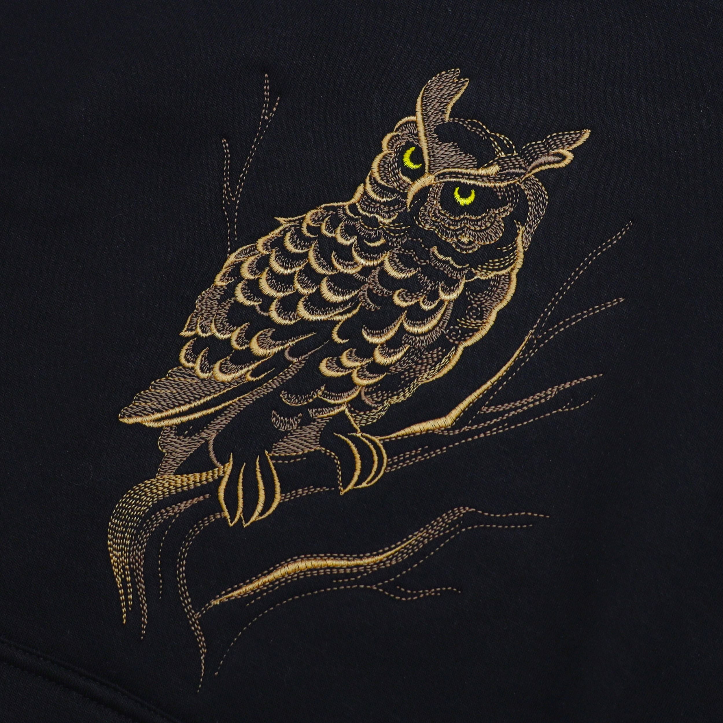 Majestic Owl