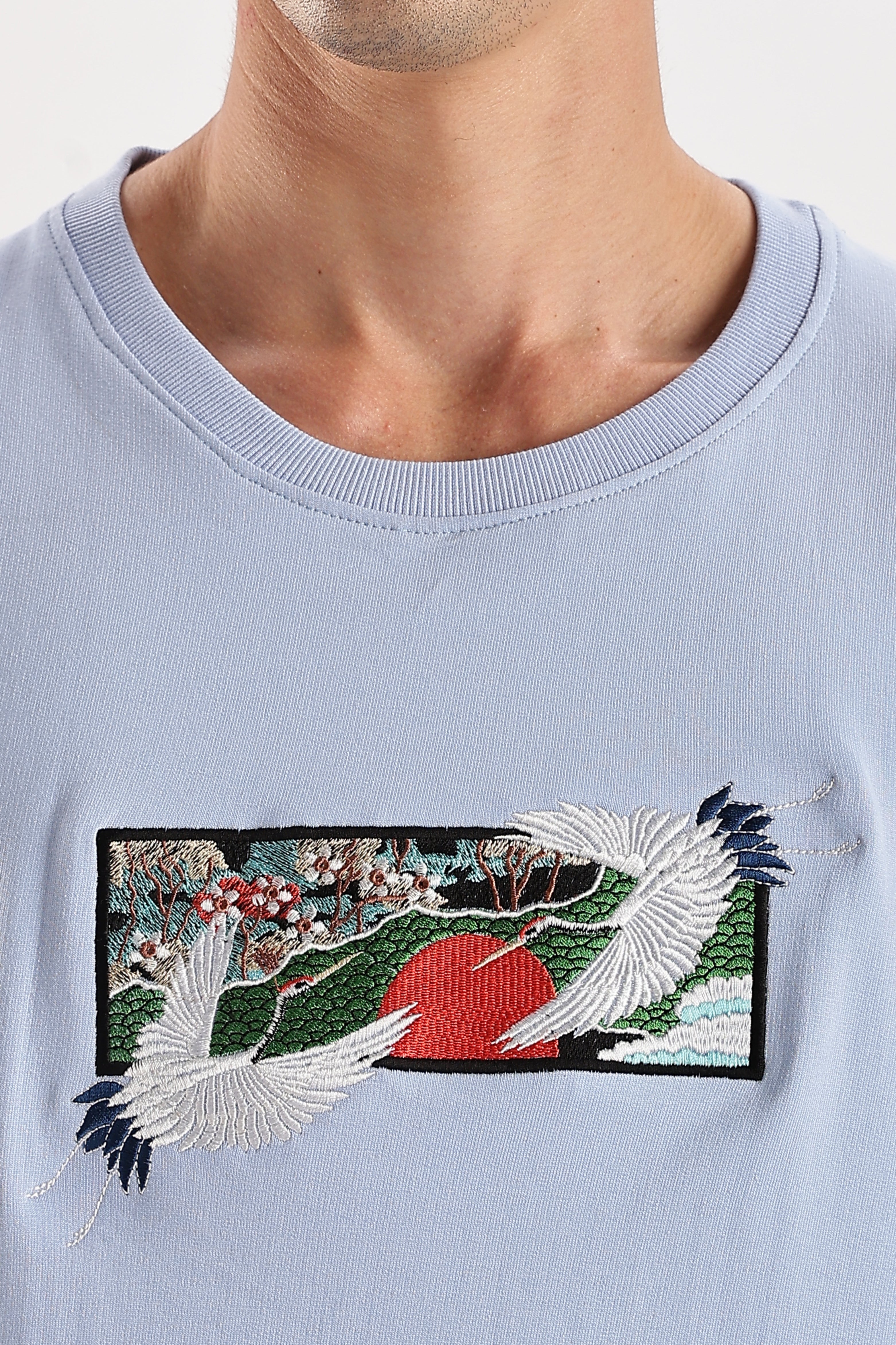 Red-Crowned Crane